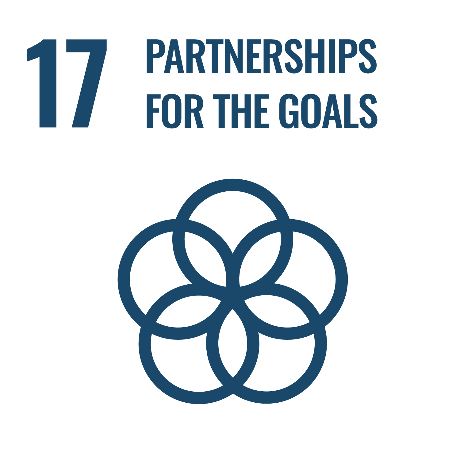 17. Partnerships for the Goals